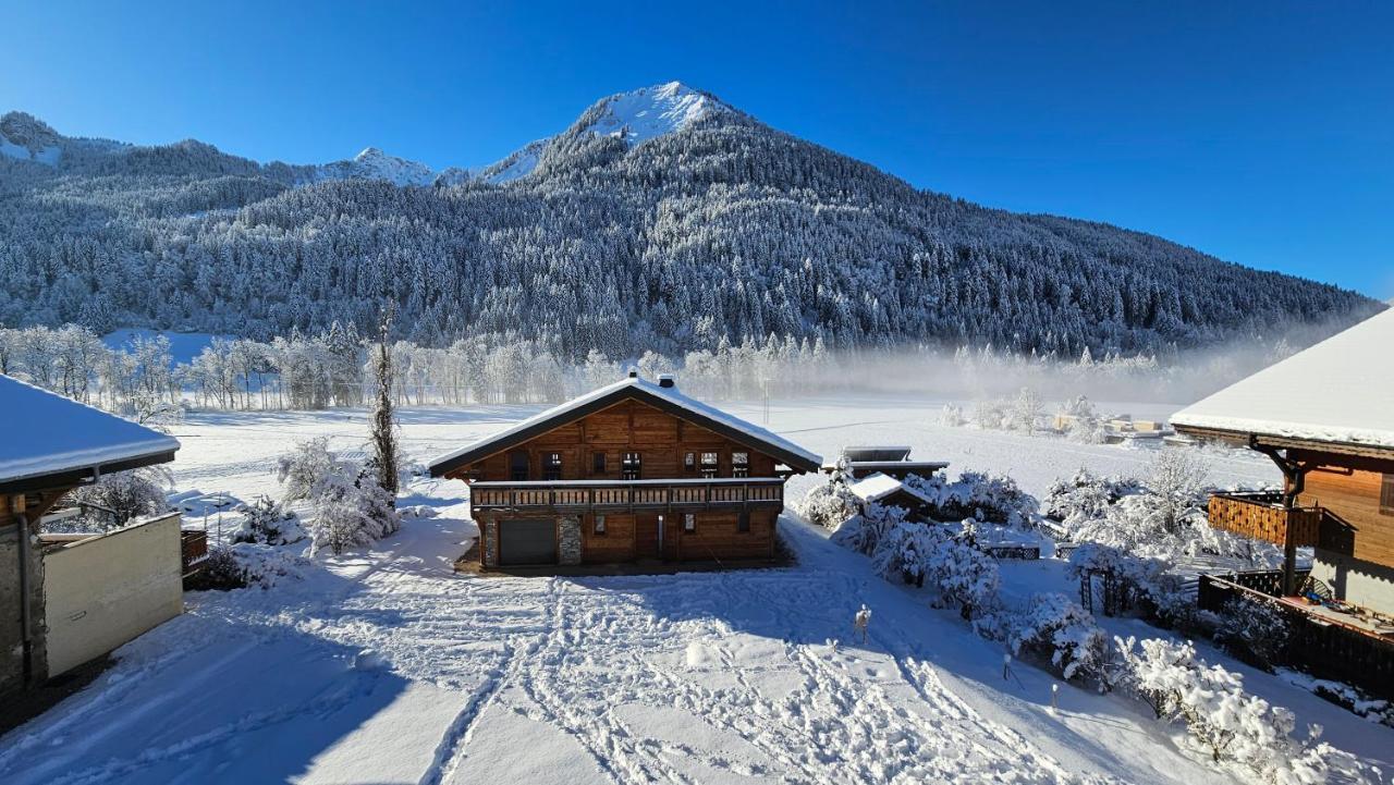 Demi-Chalet Vadel La Panthiaz 15 Pers 5 Chambres Abondance エクステリア 写真