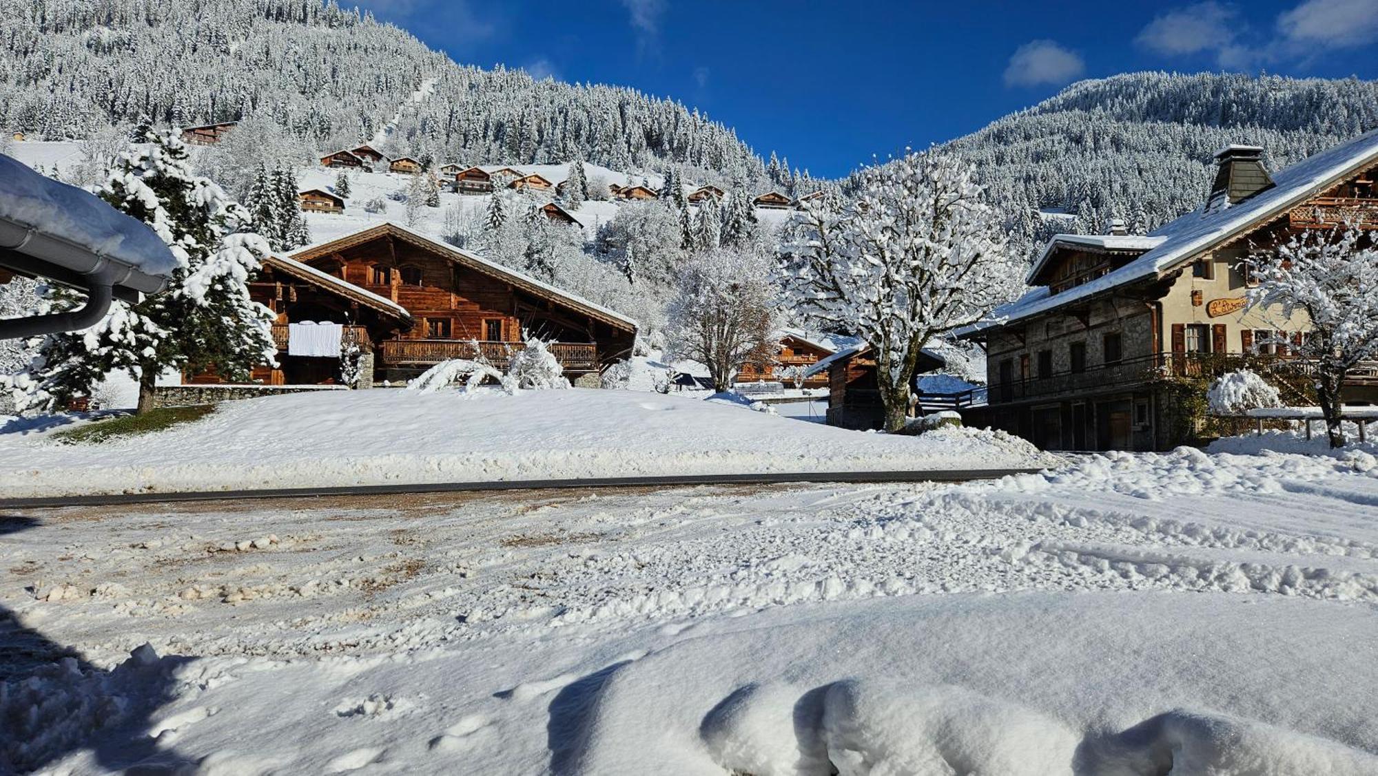 Demi-Chalet Vadel La Panthiaz 15 Pers 5 Chambres Abondance エクステリア 写真