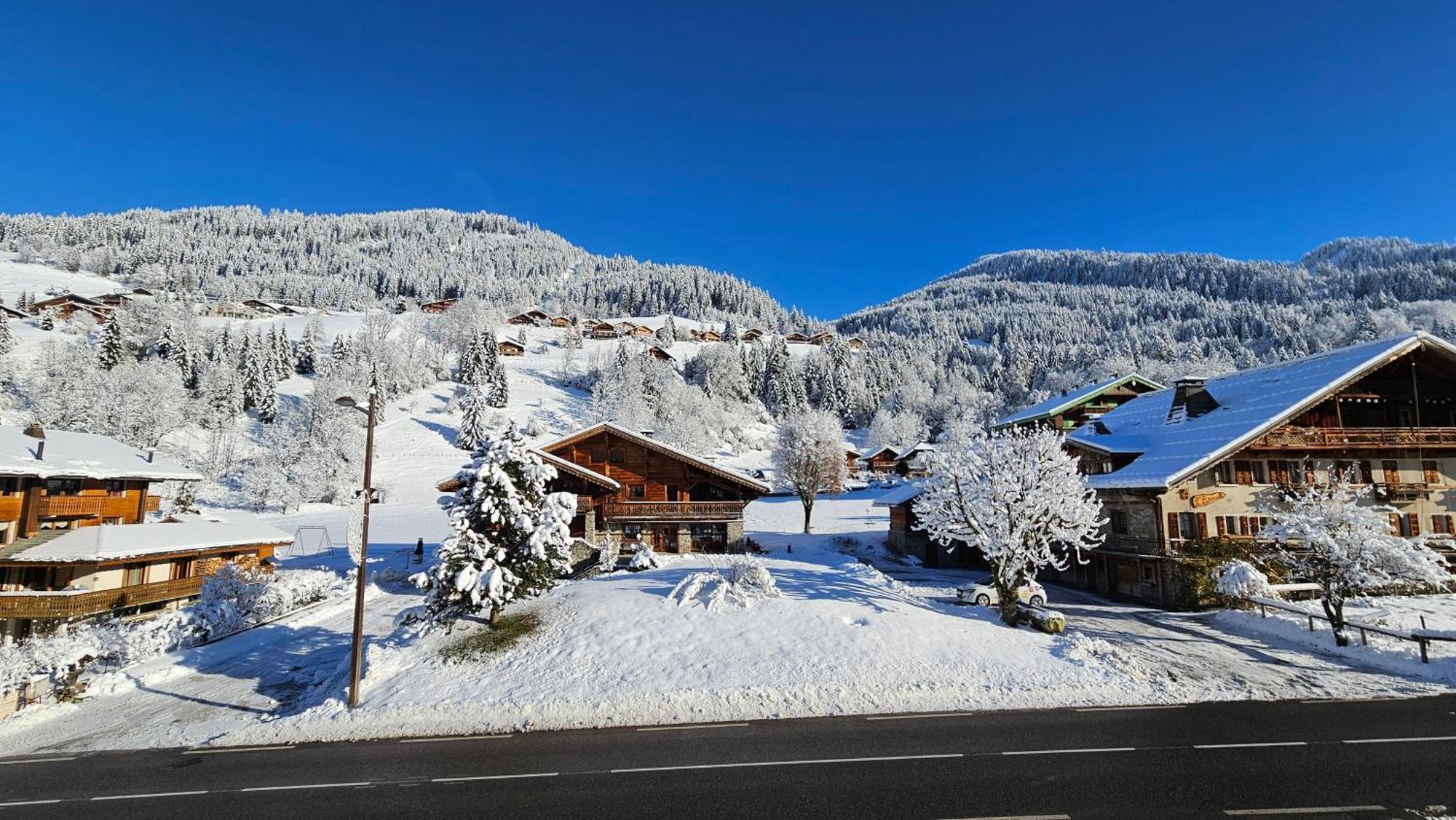 Demi-Chalet Vadel La Panthiaz 15 Pers 5 Chambres Abondance エクステリア 写真